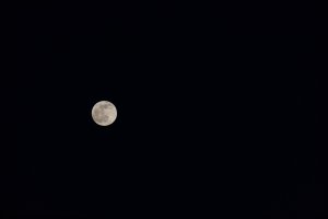 20201229Moon036.jpg